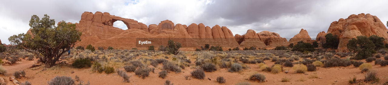 PANORAMIC VIEW OF LANDSCAPE