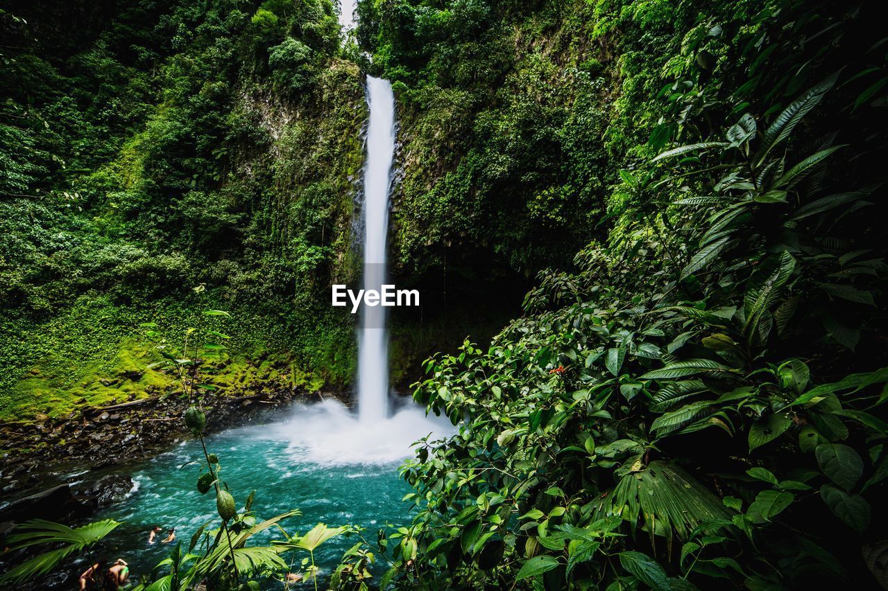 Idyllic waterfall in forest