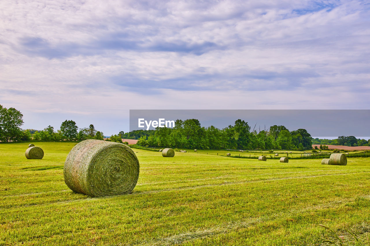 hay bales on grassy field against sky