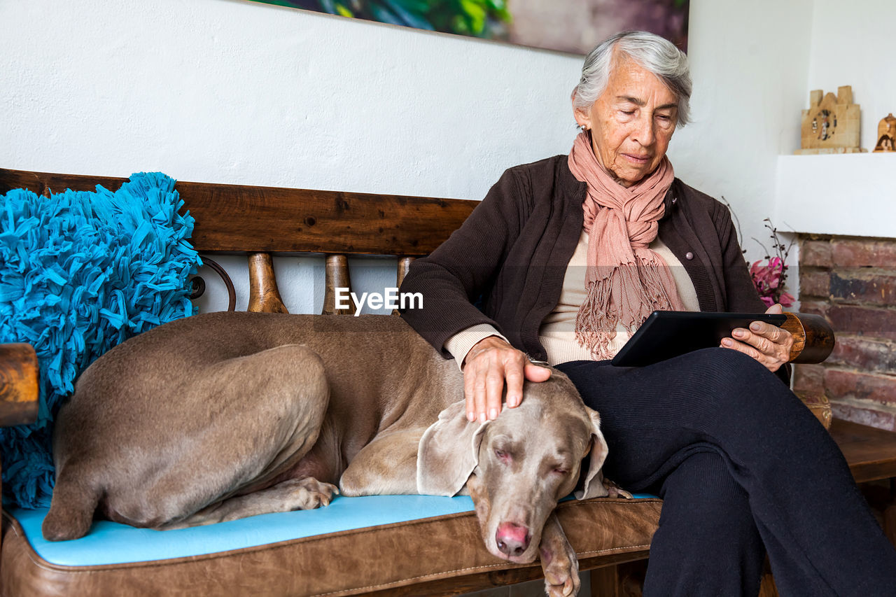 Senior woman using digital tablet with dog sitting on bench at home