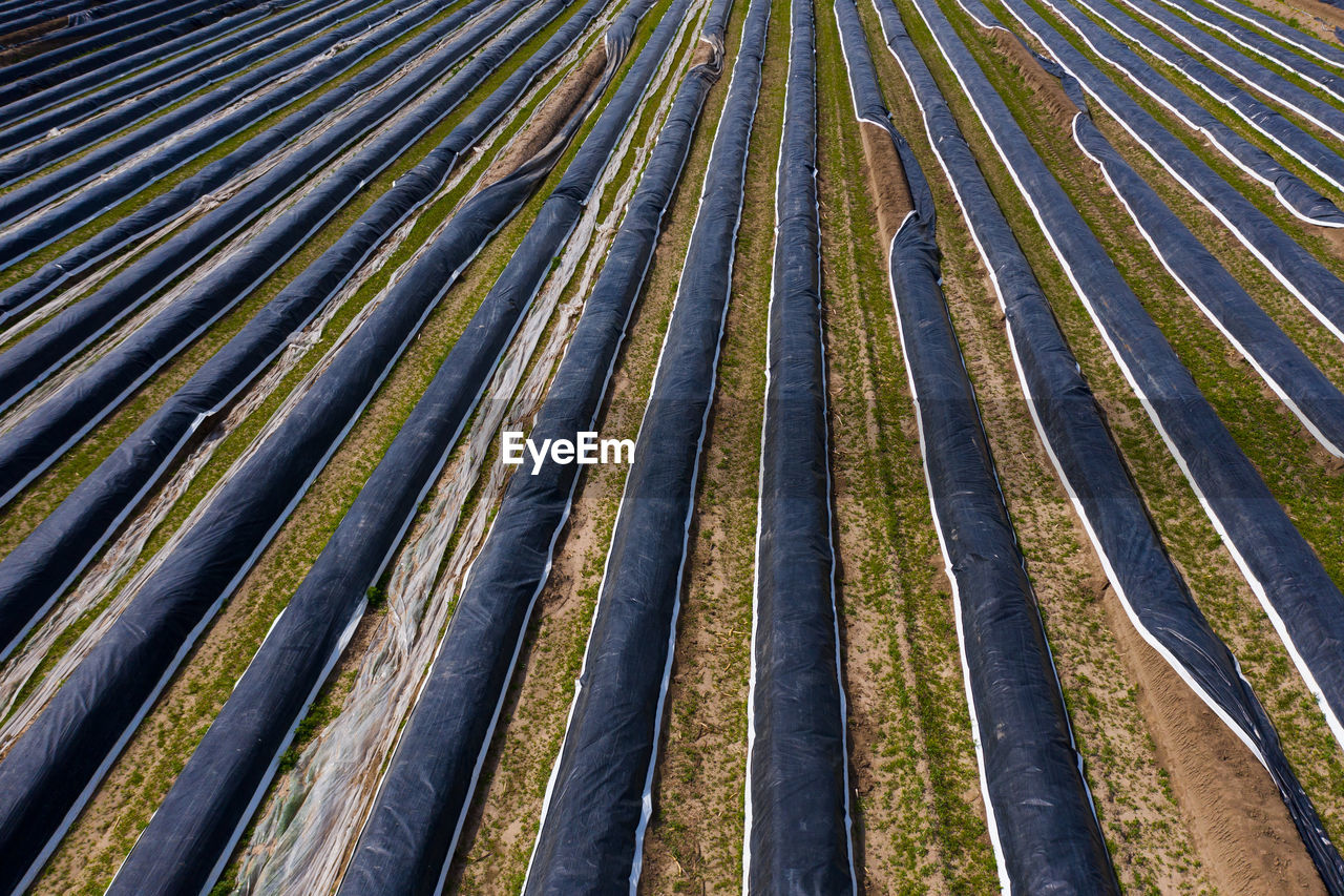 Full frame shot of agricultural field