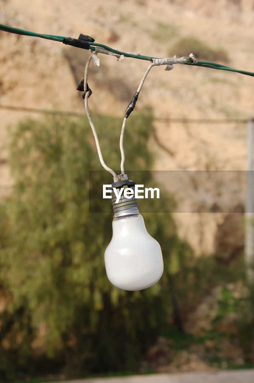 CLOSE-UP OF LIGHT BULBS HANGING ON WALL