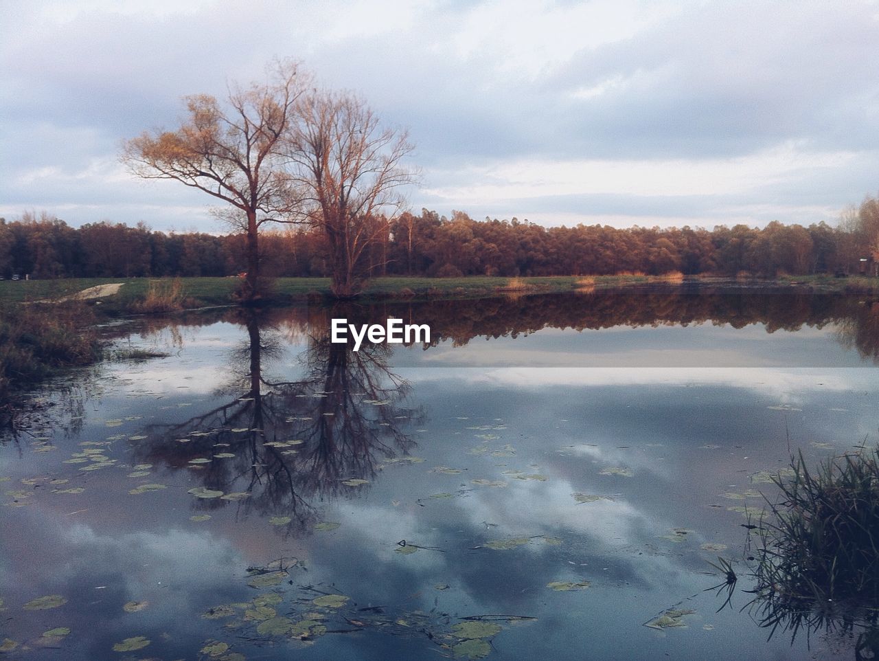 Reflection of trees and cloudy sky on calm lake