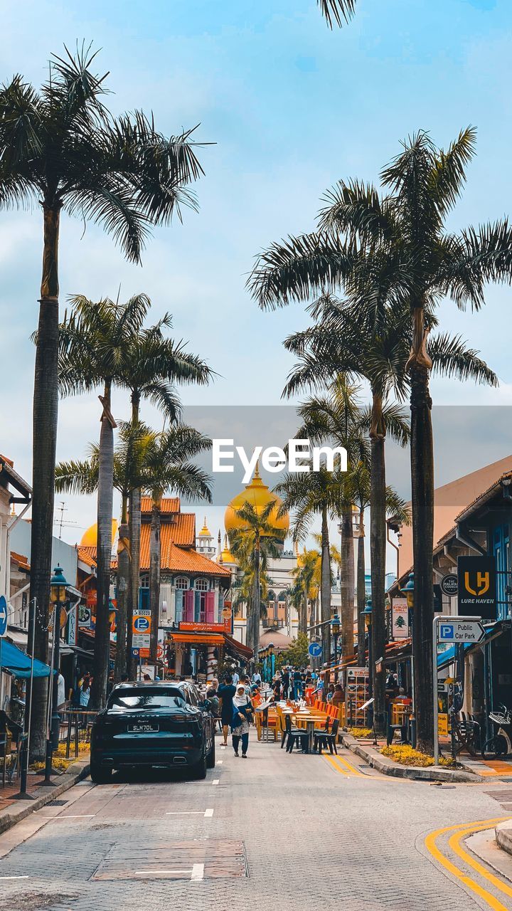 PALM TREES BY CITY STREET AGAINST BLUE SKY