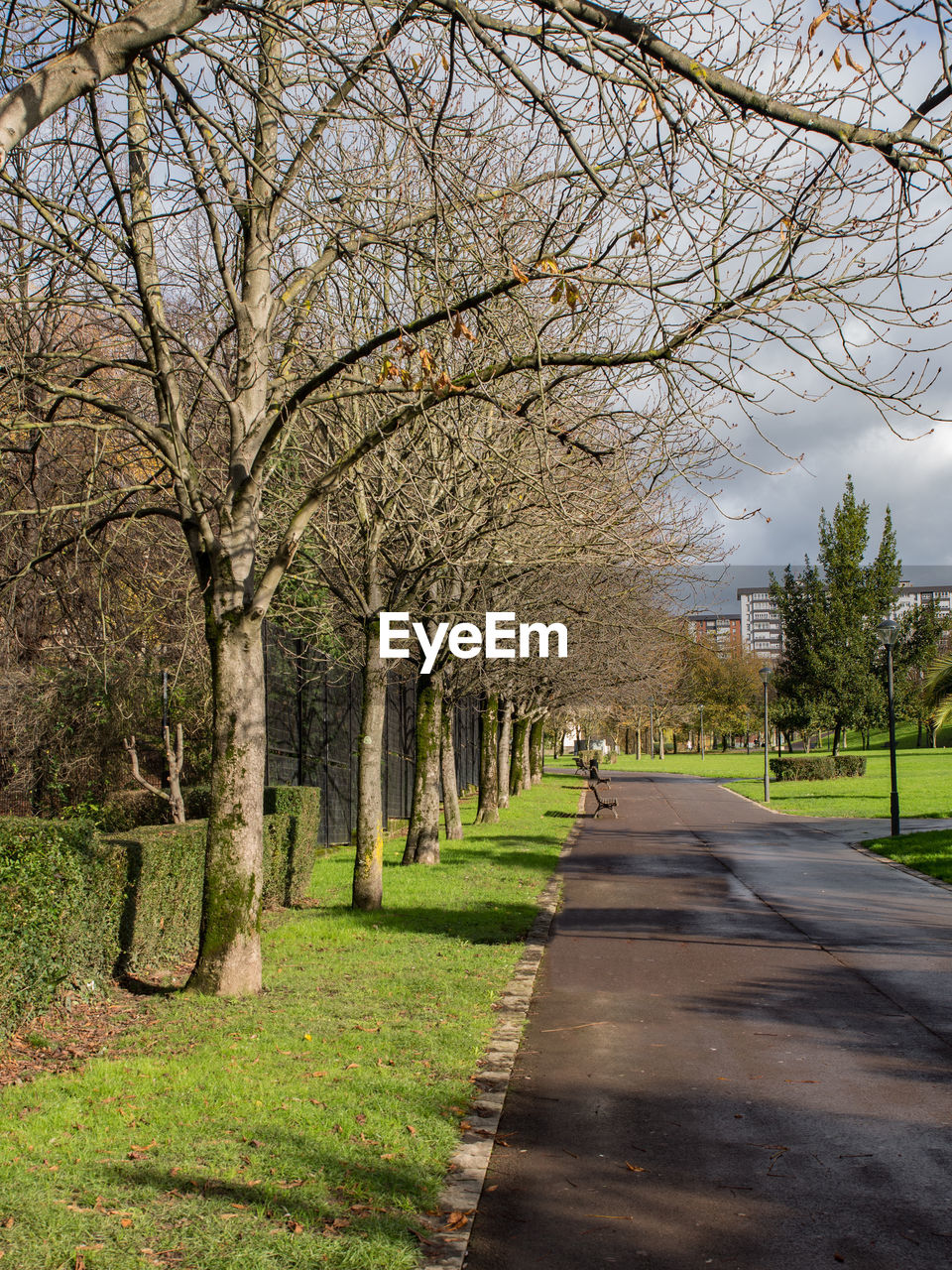 ROAD PASSING THROUGH PARK