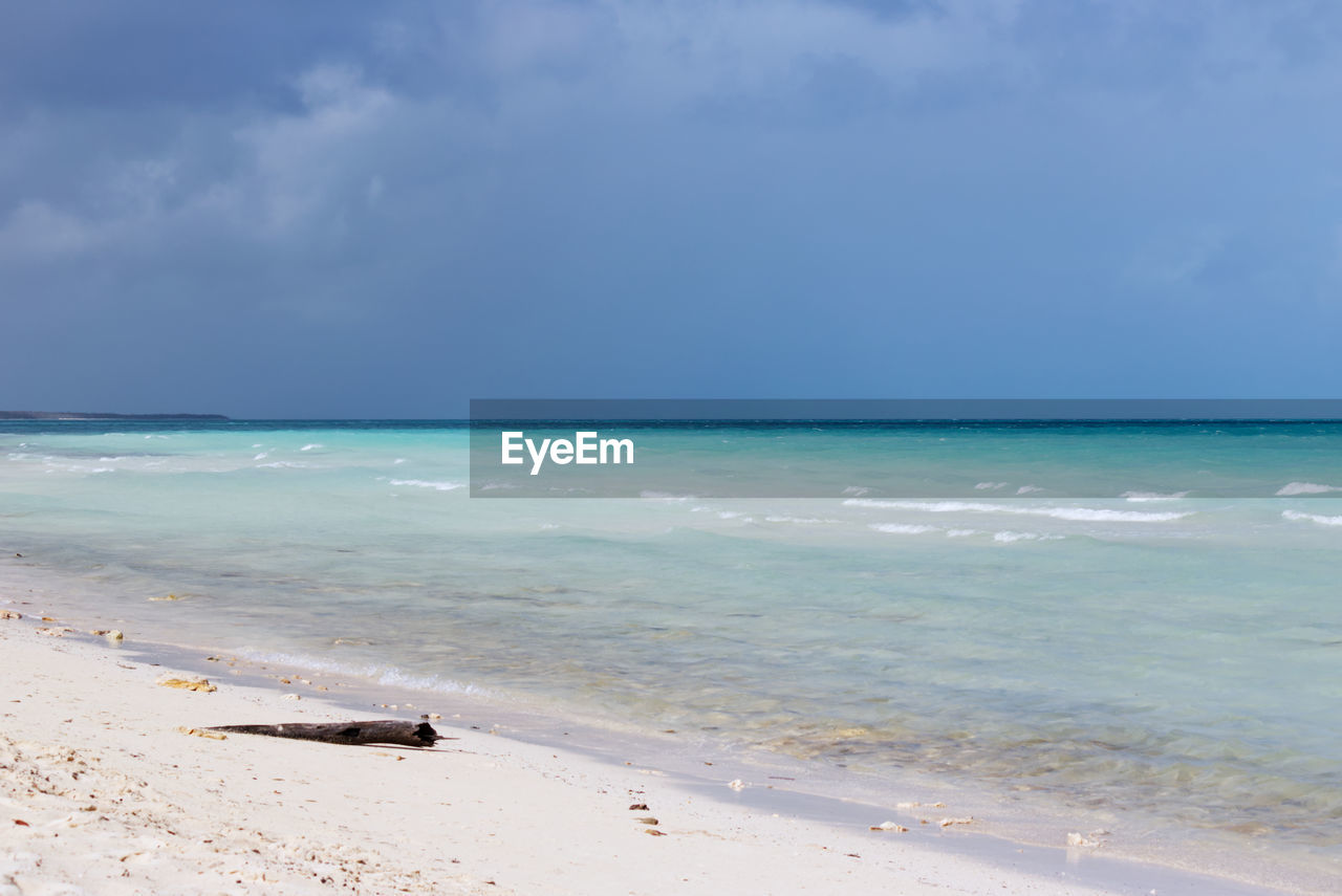 SCENIC VIEW OF BEACH