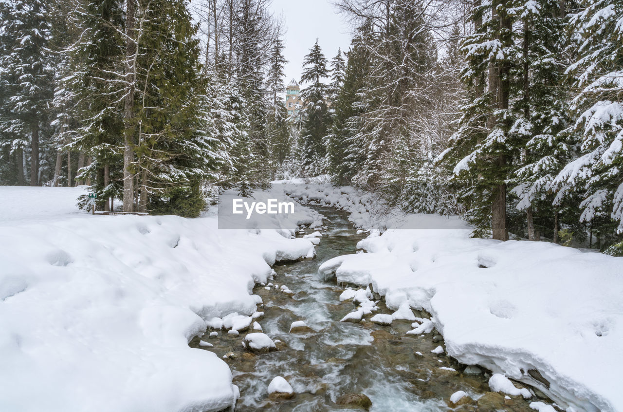 SNOW COVERED LANDSCAPE