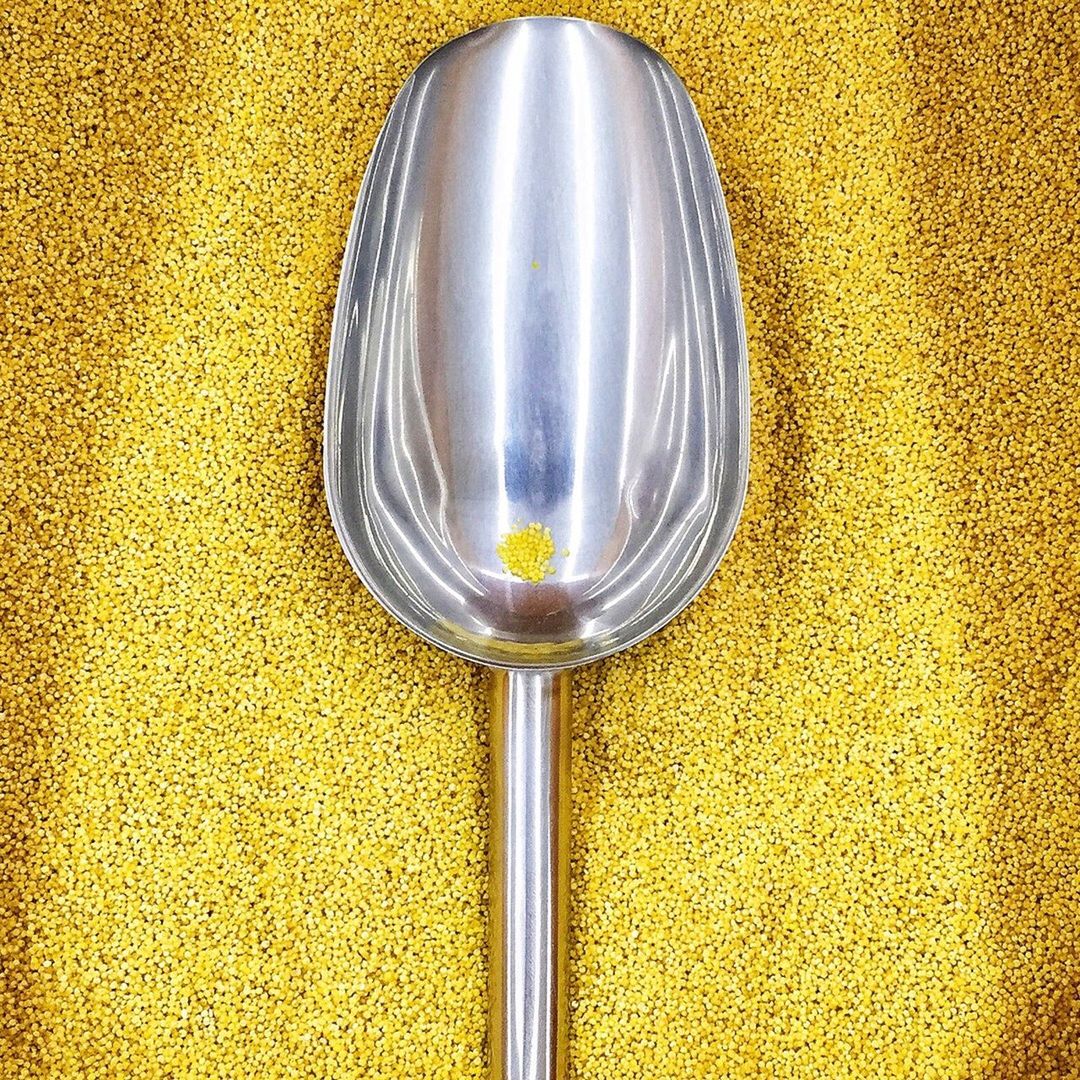 High angle view of serving scoop on yellow seeds