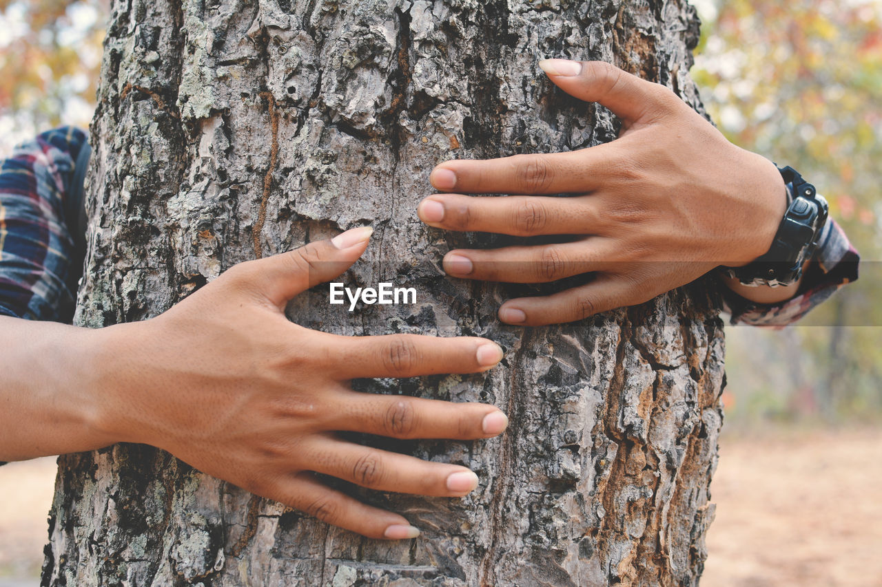 Cropped hand of man embracing tree trunk