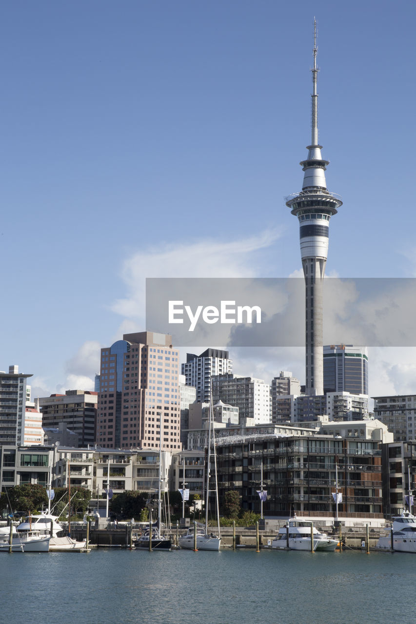 Sky tower and auckland's skyline viewed from marina during a sunny day