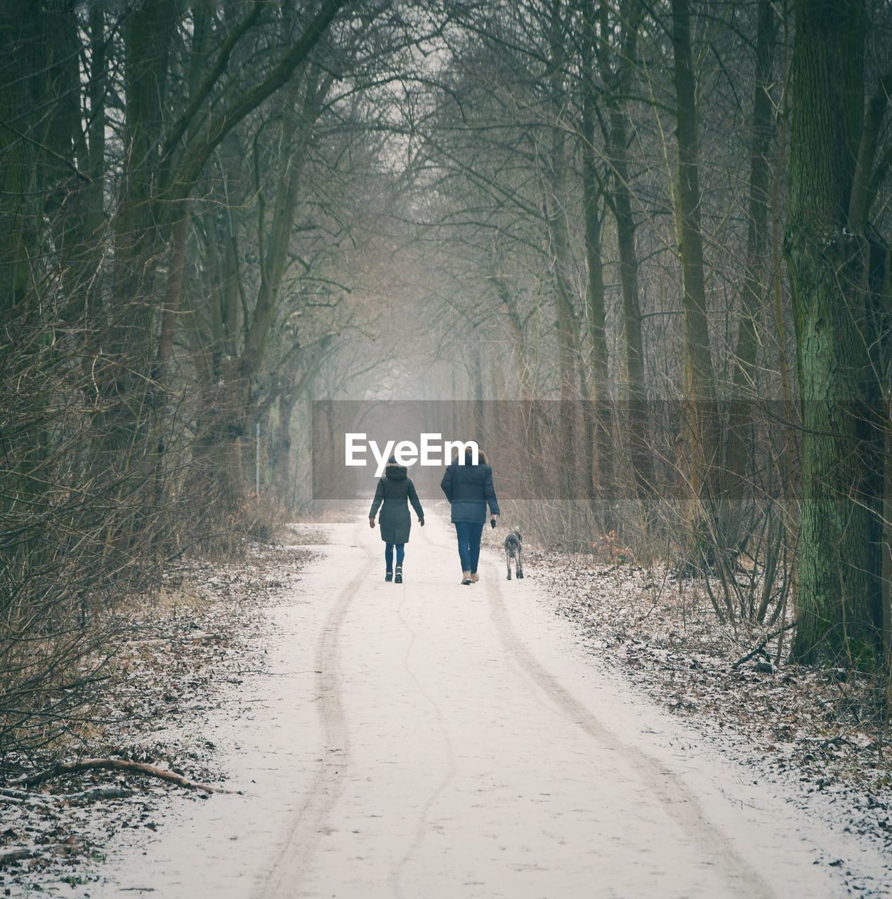 Rear view of friends walking on snow covered footpath amidst trees during winter