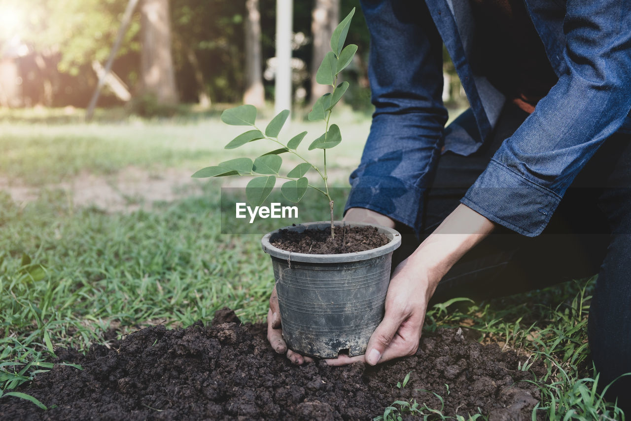 Close-up of man planting plant in park