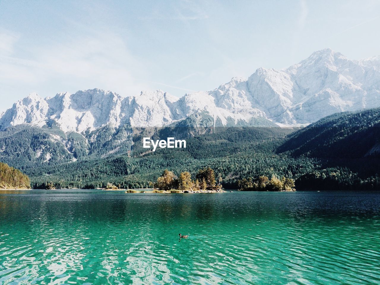 Duck swimming in lake against snowcapped mountains