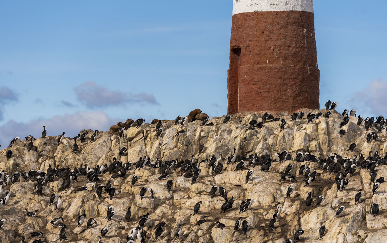 lighthouse by sea against cloudy sky