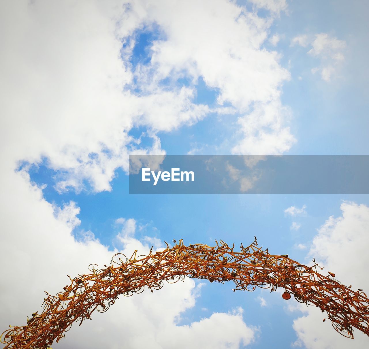 LOW ANGLE VIEW OF PLANTS AGAINST SKY