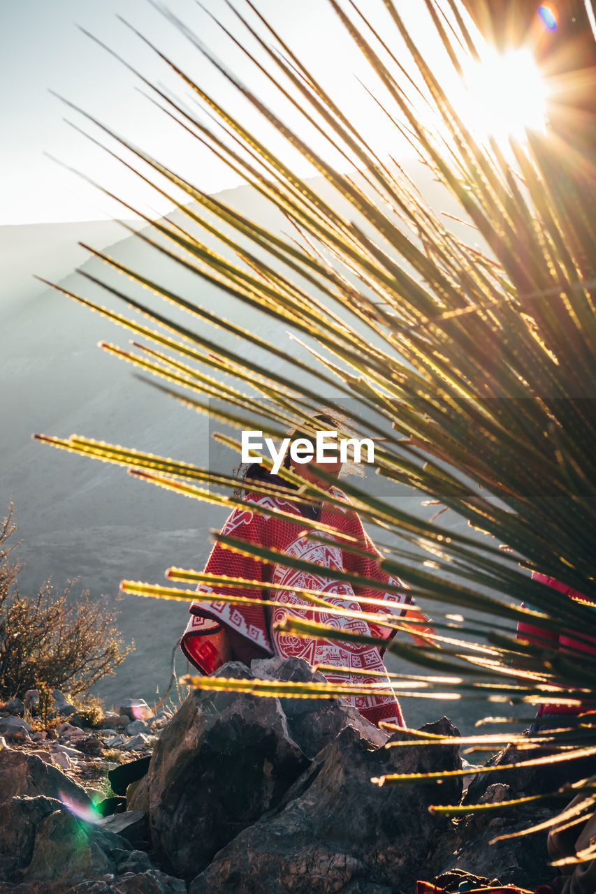 Woman standing on mountain seen through plant during sunset