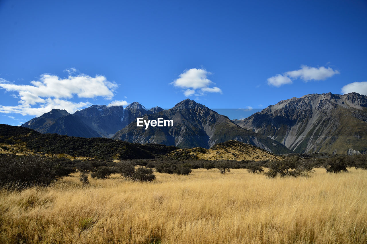 Mountain and farm on scenic road queenstown new zealand