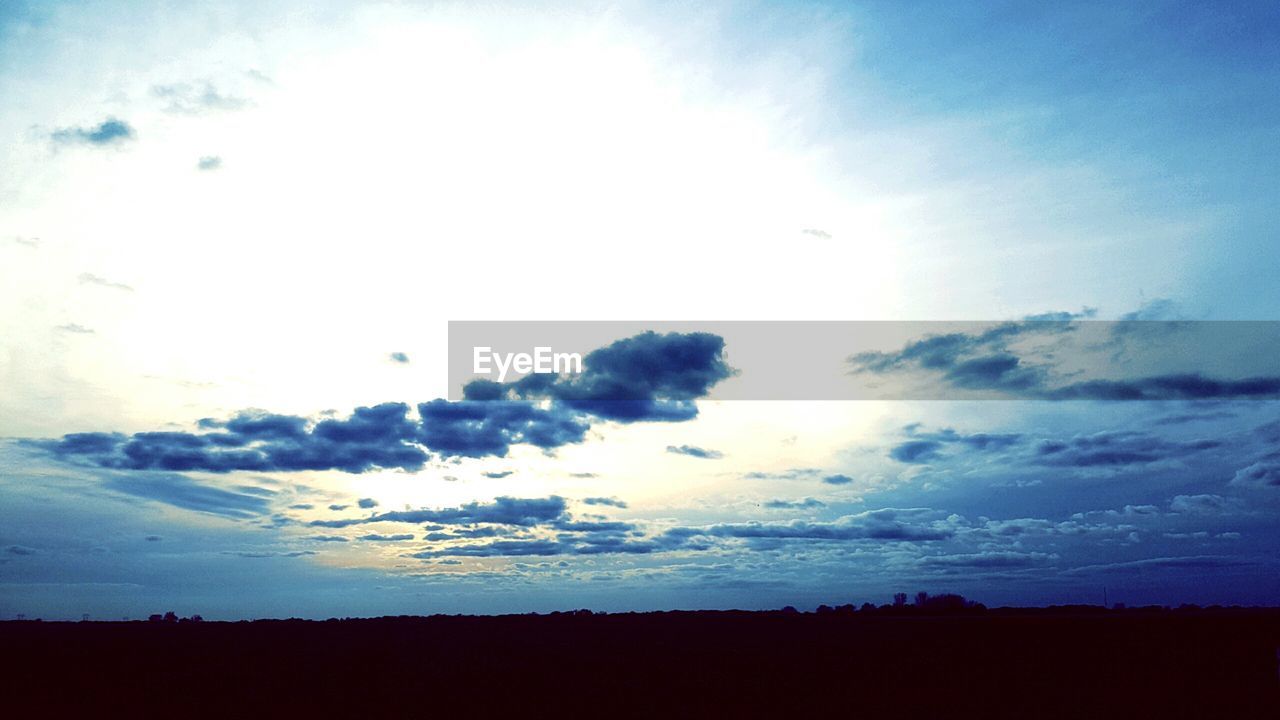 LOW ANGLE VIEW OF SILHOUETTE BIRDS AGAINST SKY AT SUNSET