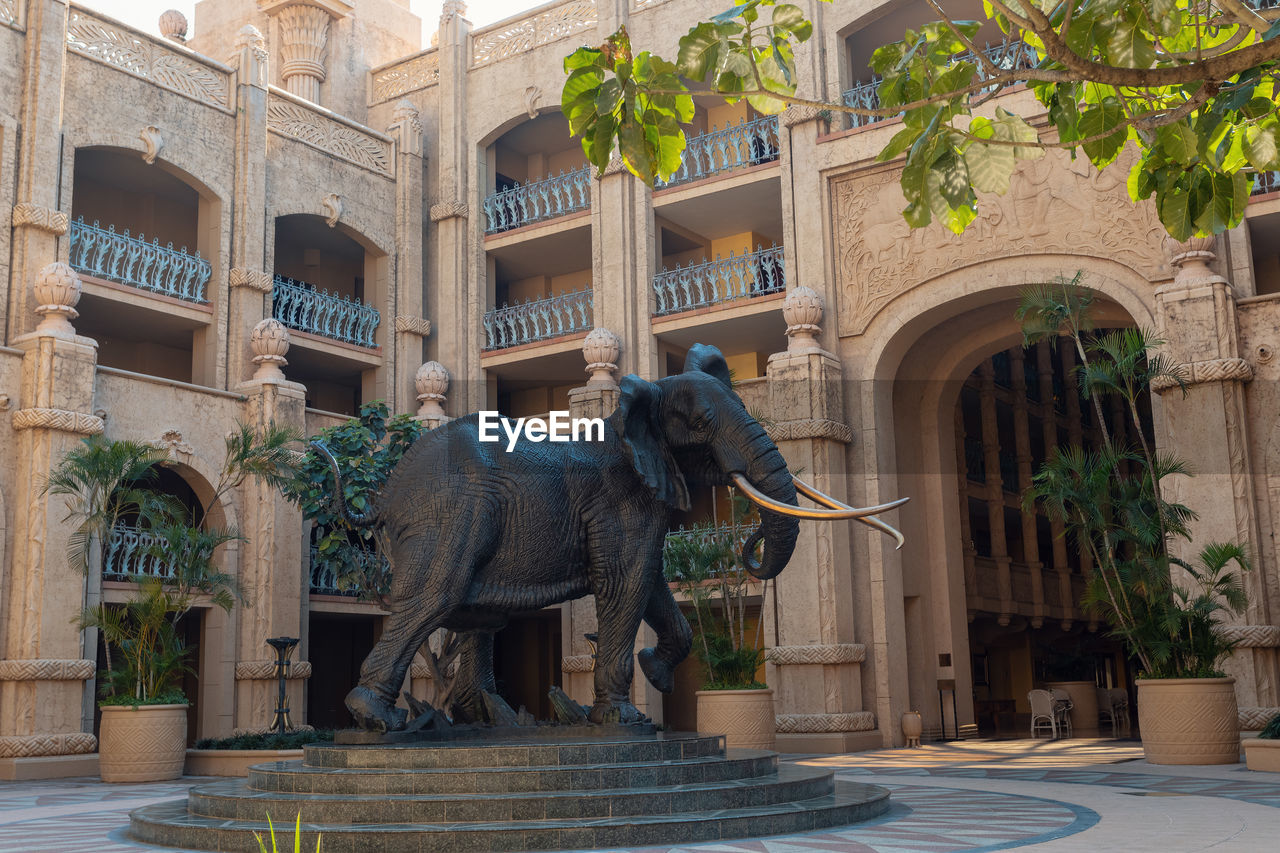 VIEW OF ELEPHANT AND BUILDING