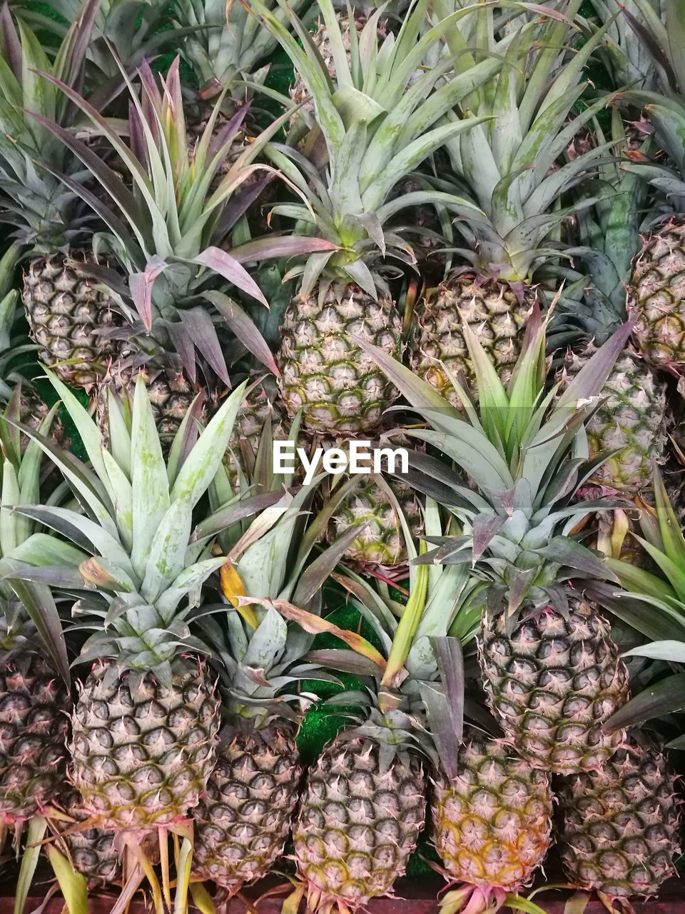 FULL FRAME SHOT OF FRUITS AT MARKET