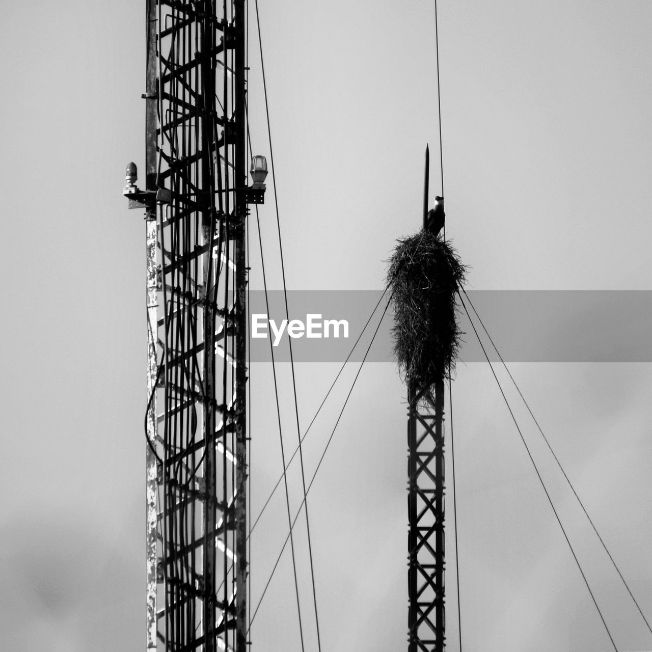 sky, black and white, built structure, architecture, tower, low angle view, line, monochrome, monochrome photography, electricity, mast, nature, no people, outdoors, day, black, white, technology, arts culture and entertainment, industry, overhead power line, transmission tower, silhouette, amusement park, metal, cloud