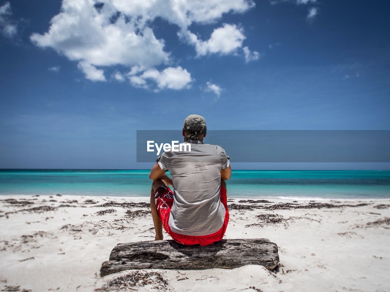 Rear view of man sitting on log in beach against sky