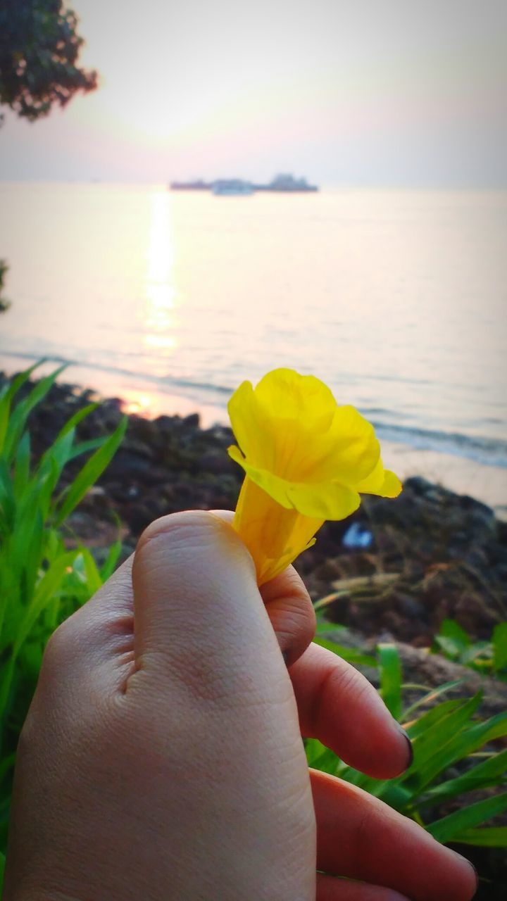 CLOSE-UP OF WOMAN HAND BY SEA