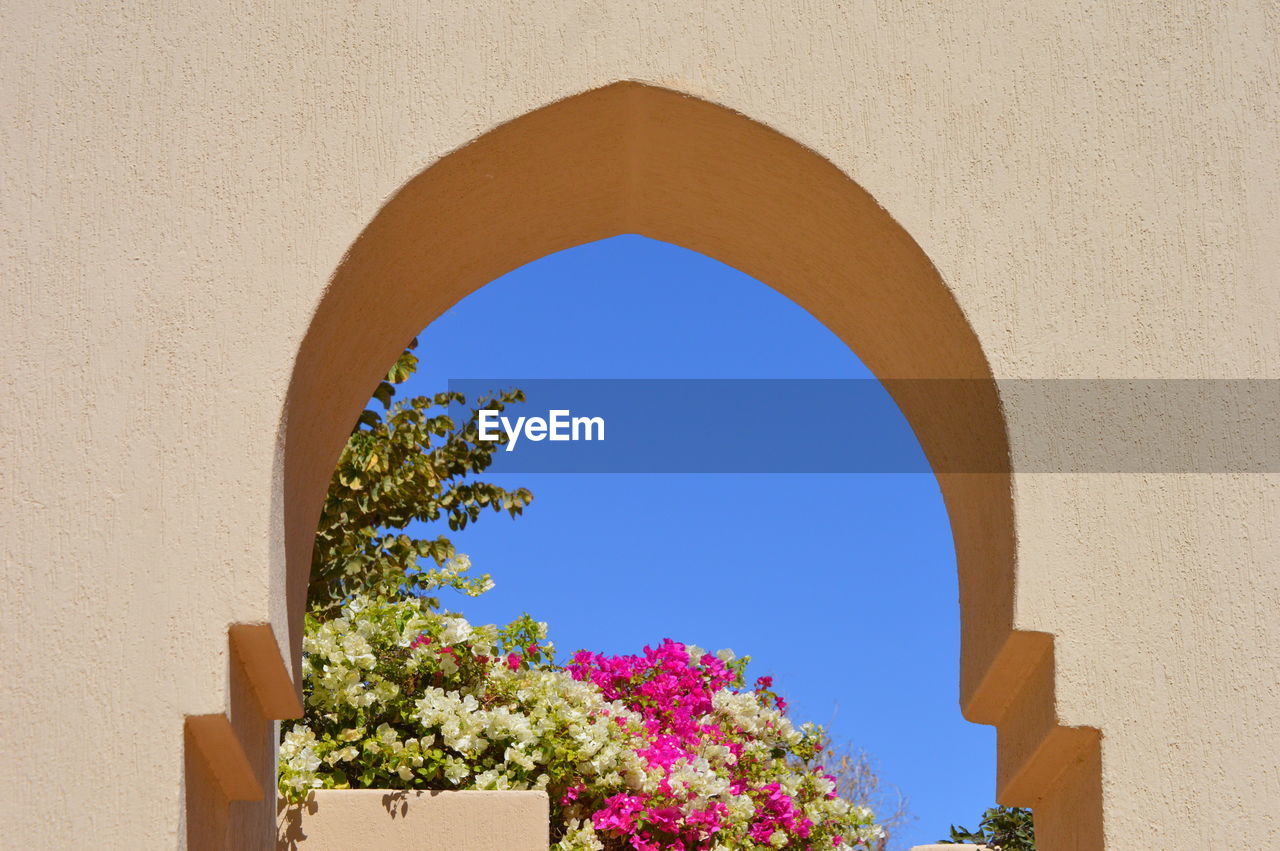 Trees against clear blue sky seen through arch