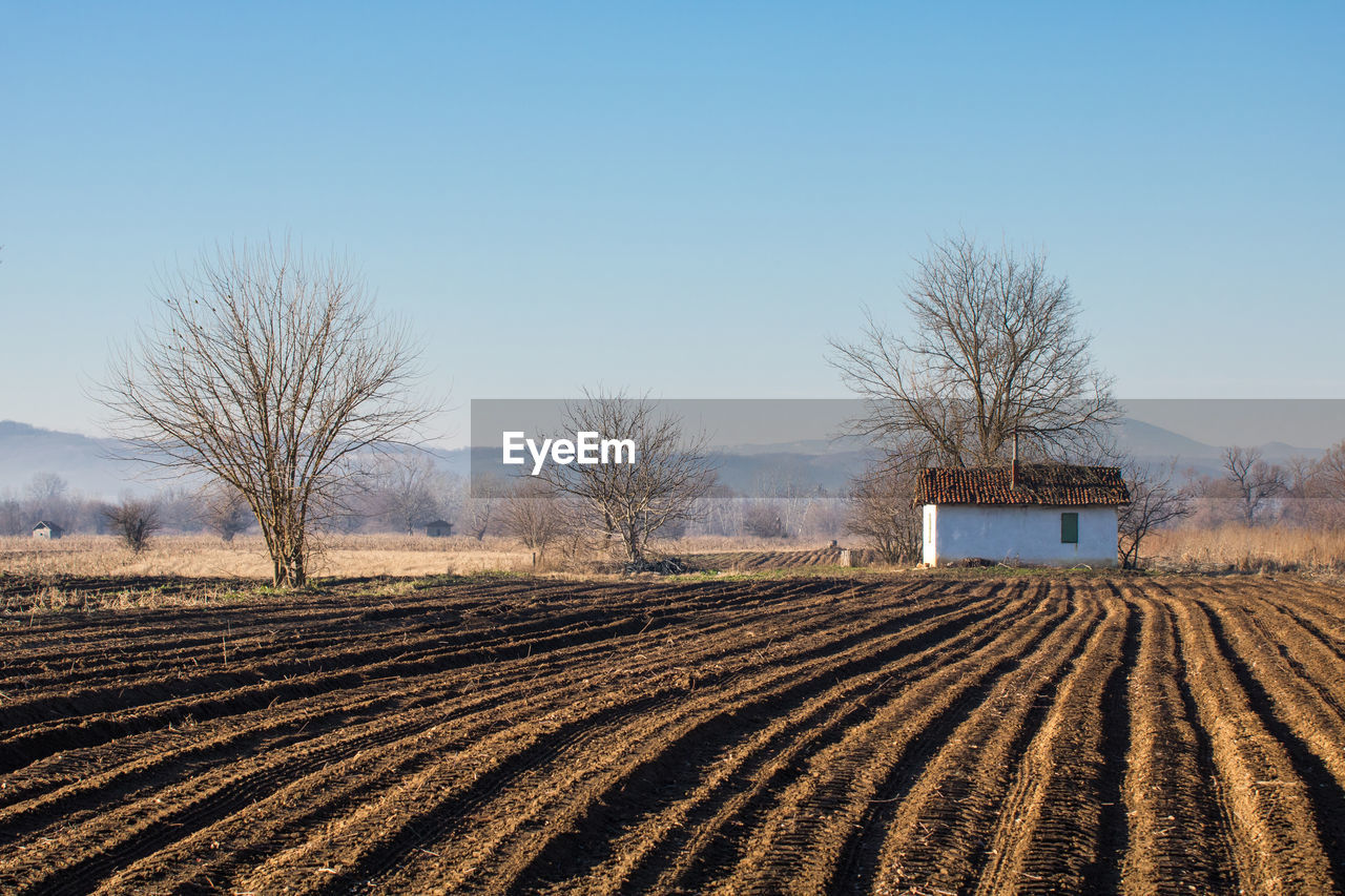 Scenic view of field against clear sky