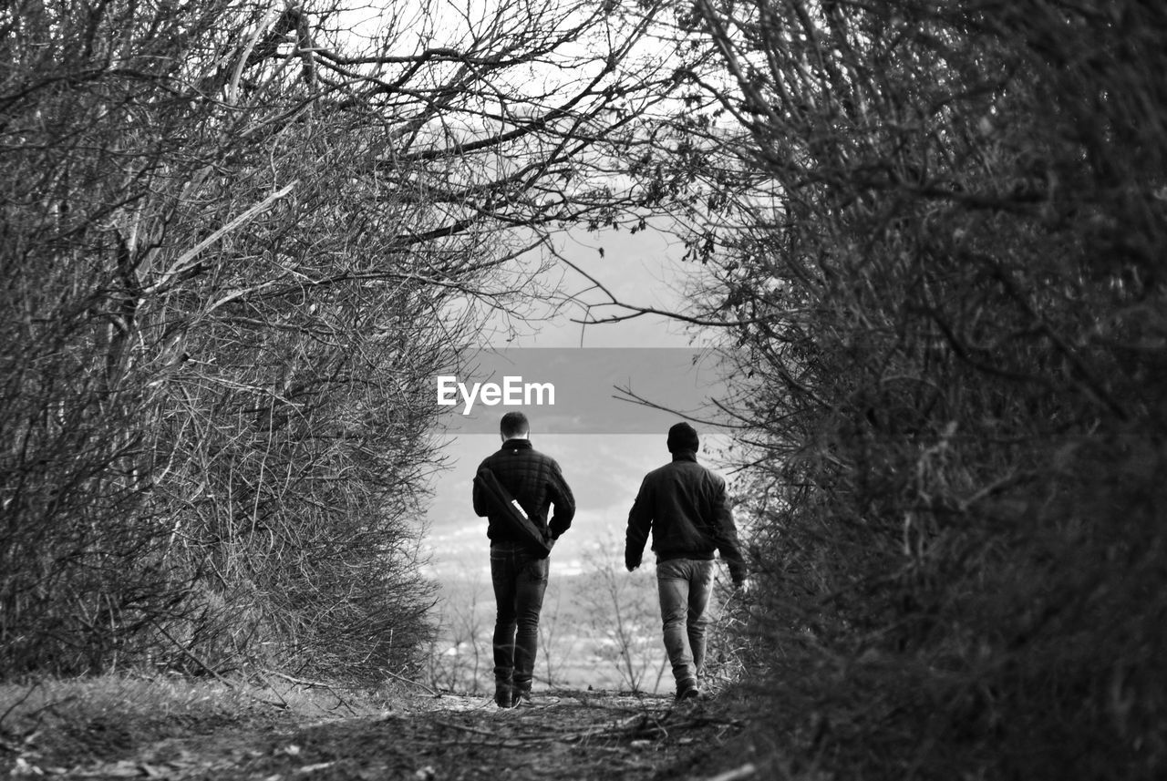 Rear view of men walking on pathway amidst trees