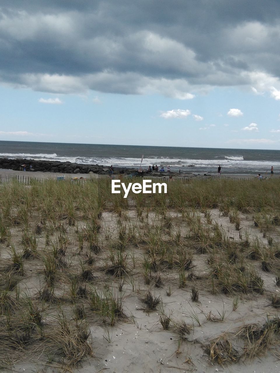 SCENIC VIEW OF BEACH