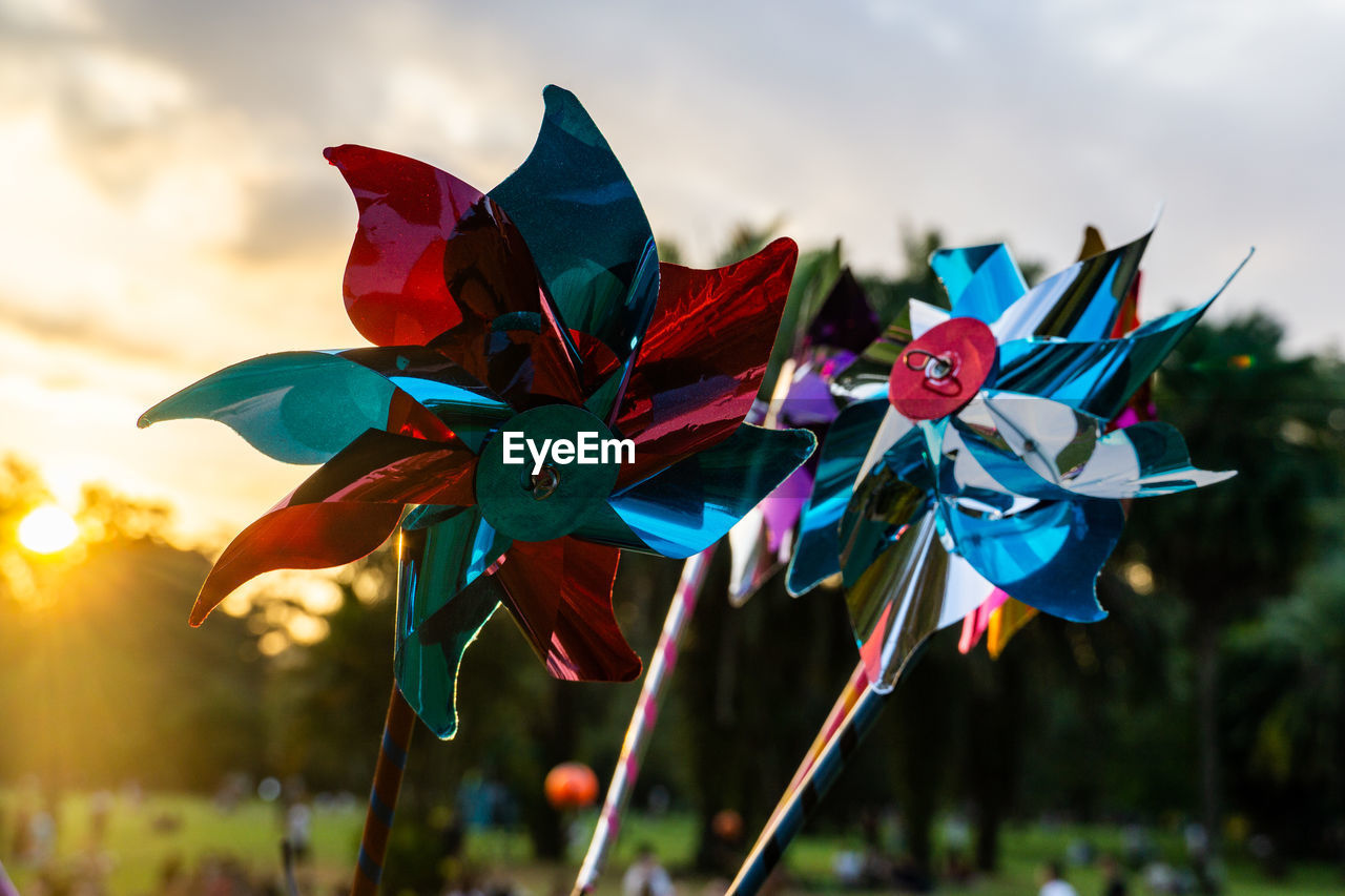 flower, sky, nature, multi colored, plant, leaf, cloud, focus on foreground, outdoors, beauty in nature, no people, sunlight, macro photography, sunset, environment, pinwheel toy, flowering plant, close-up