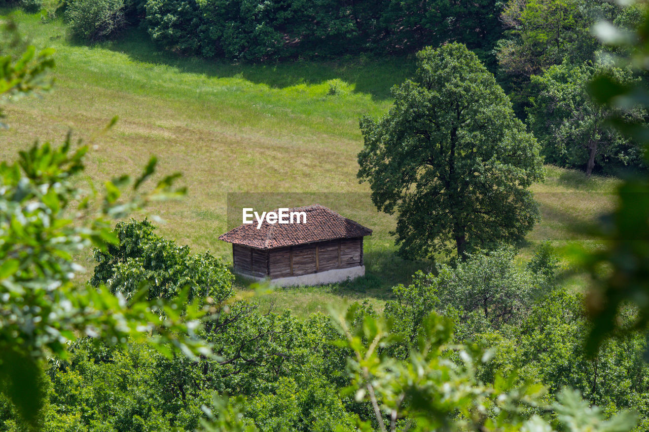 House amidst trees and plants growing on field