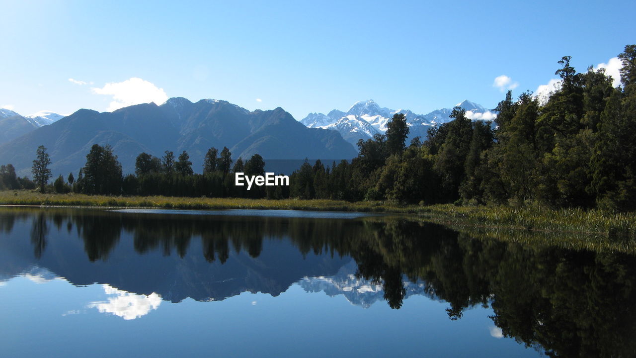 REFLECTION OF TREES IN WATER