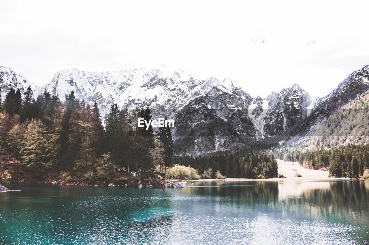 Scenic view of lake by trees against sky