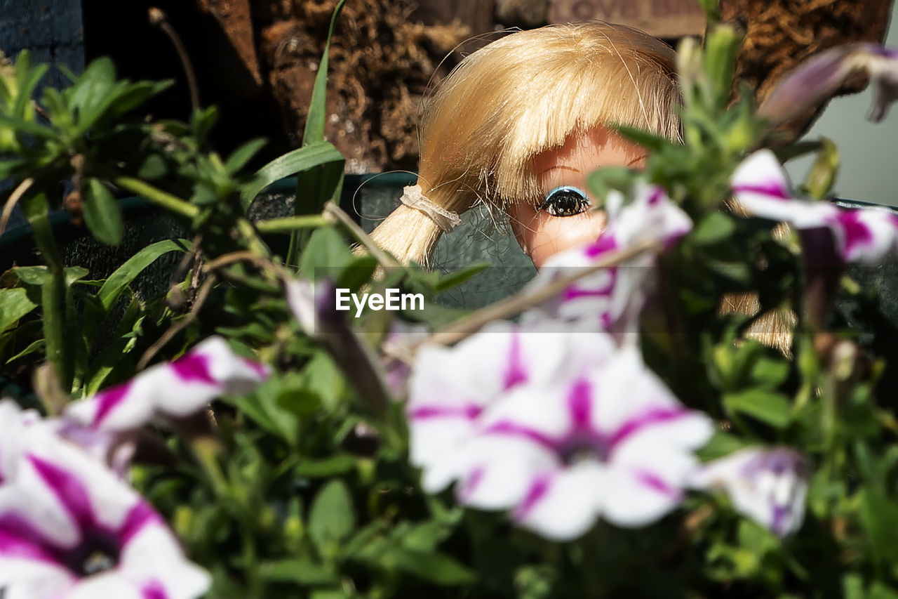 plant, flower, flowering plant, nature, selective focus, doll, spring, childhood, growth, beauty in nature, freshness, child, one person, toy, purple, women, day, blond hair, close-up, floristry, garden, pink, outdoors, representation, leaf, female, portrait, plant part, front or back yard, human representation, focus on background, fairy