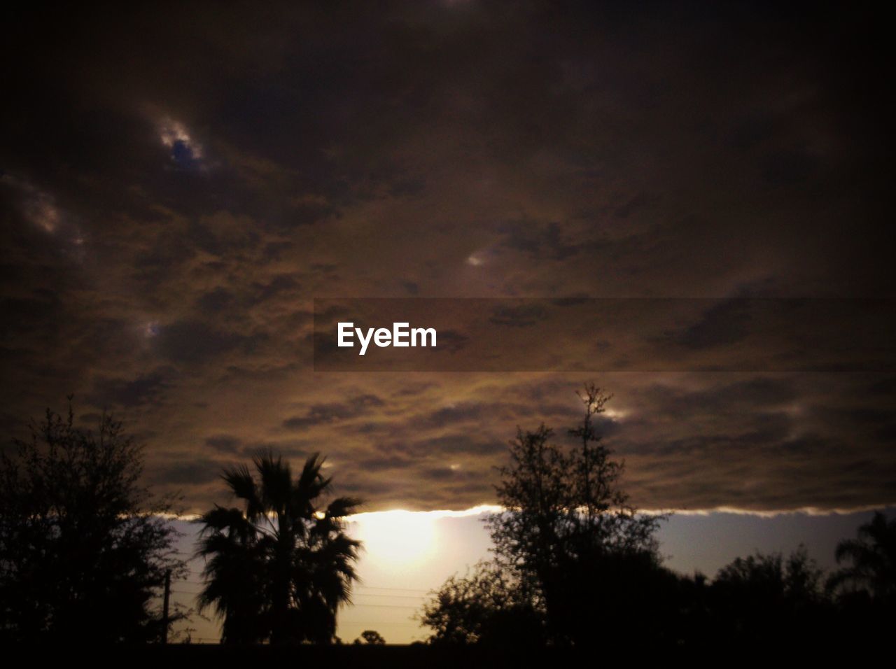 SILHOUETTE OF TREES AGAINST CLOUDY SKY