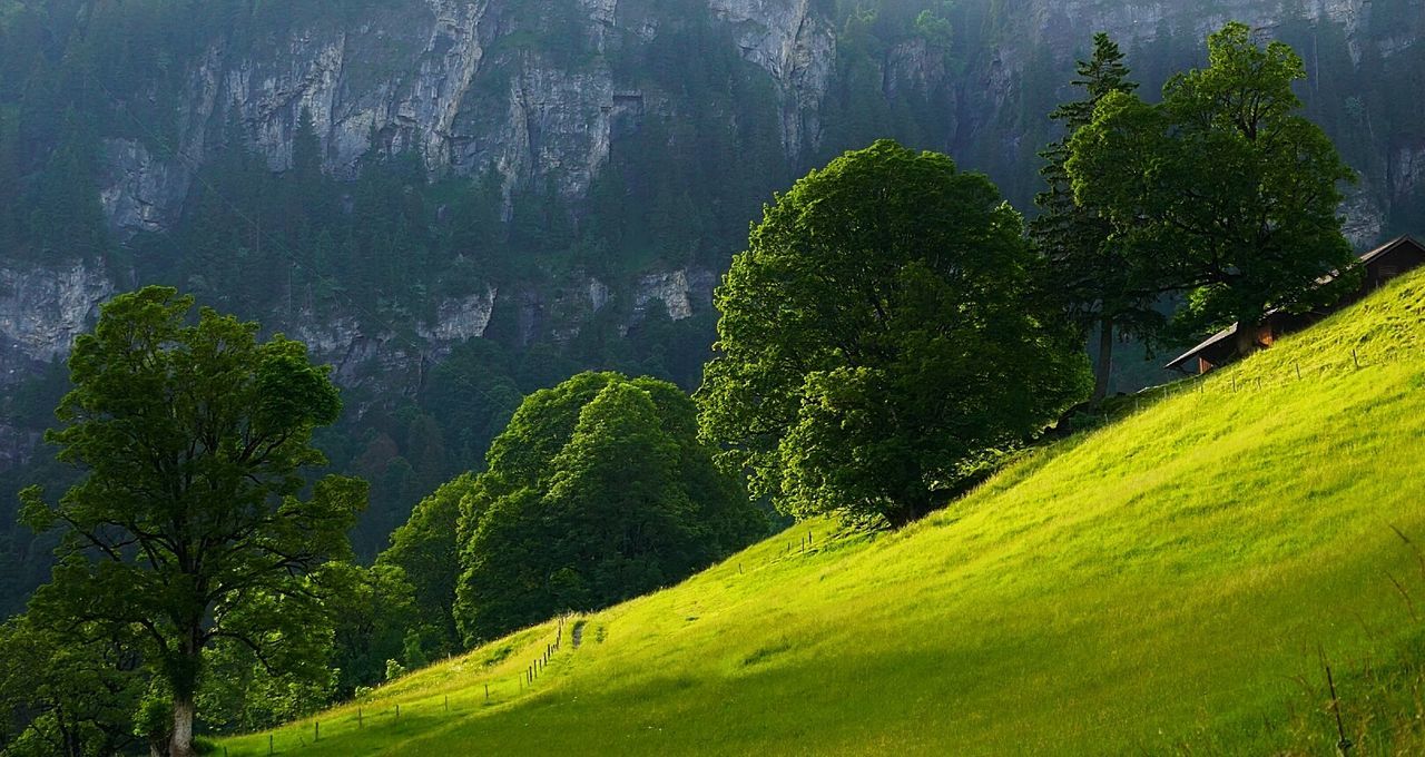 Scenic view of green landscape against sky