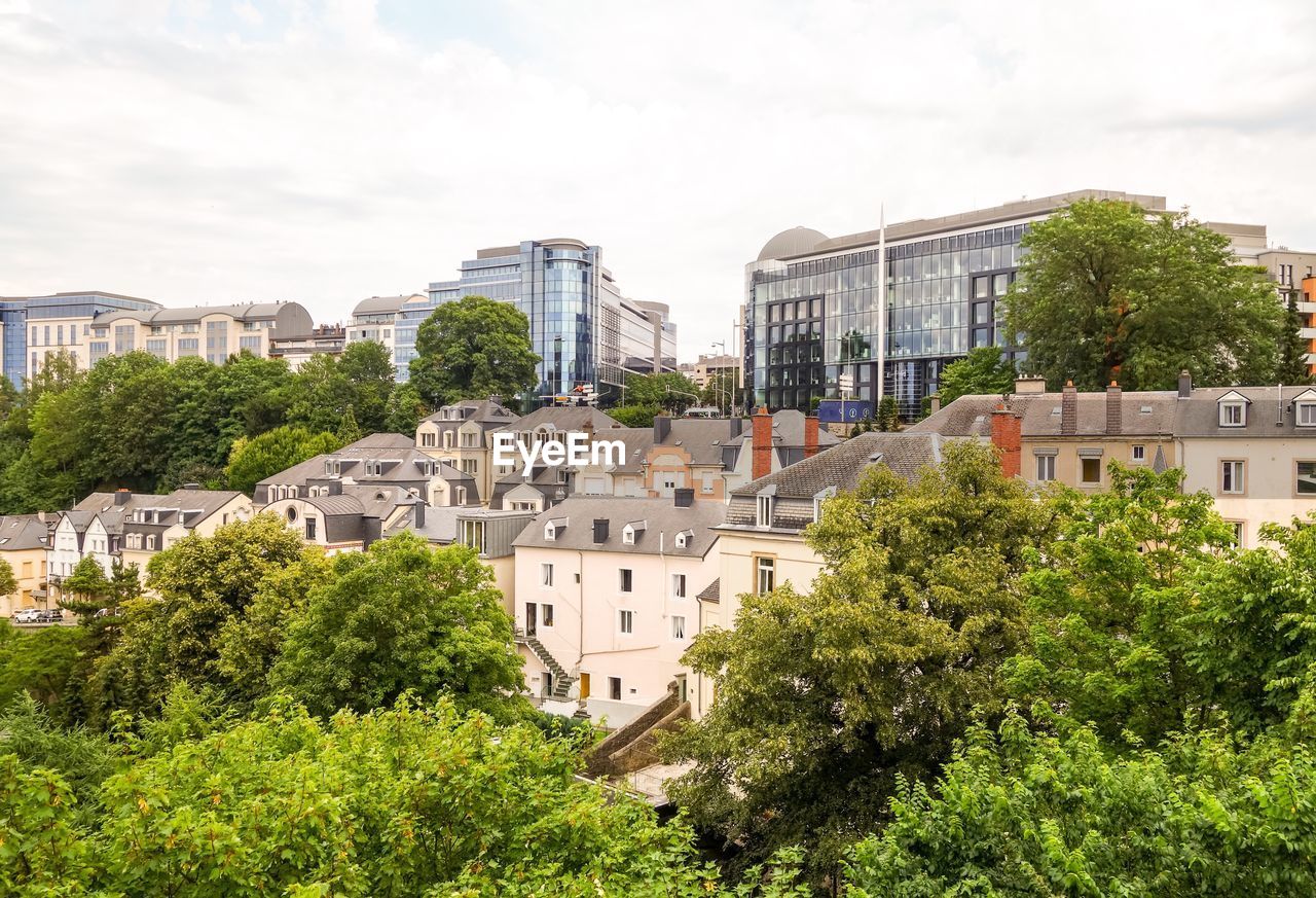 HIGH ANGLE VIEW OF TREES AND BUILDINGS IN CITY