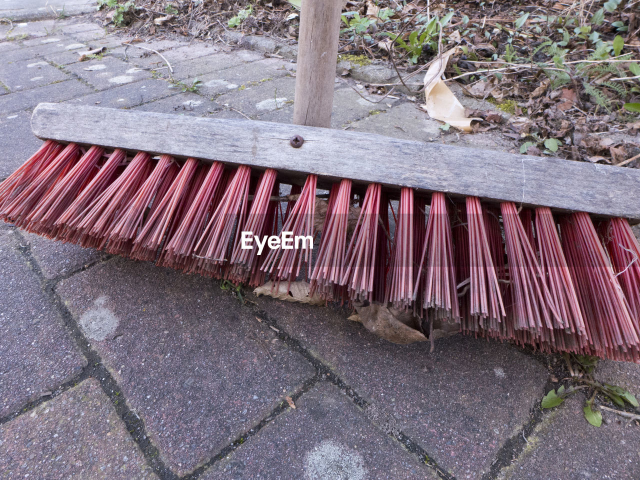 A street broom with rough red long bristles and wooden handle