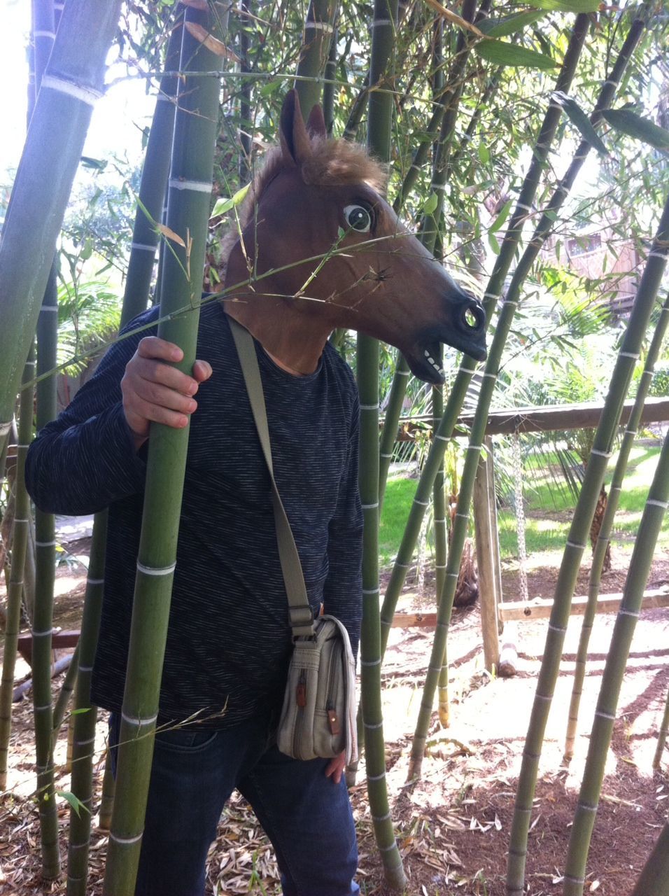 Man in horse mask standing amidst bamboos on field