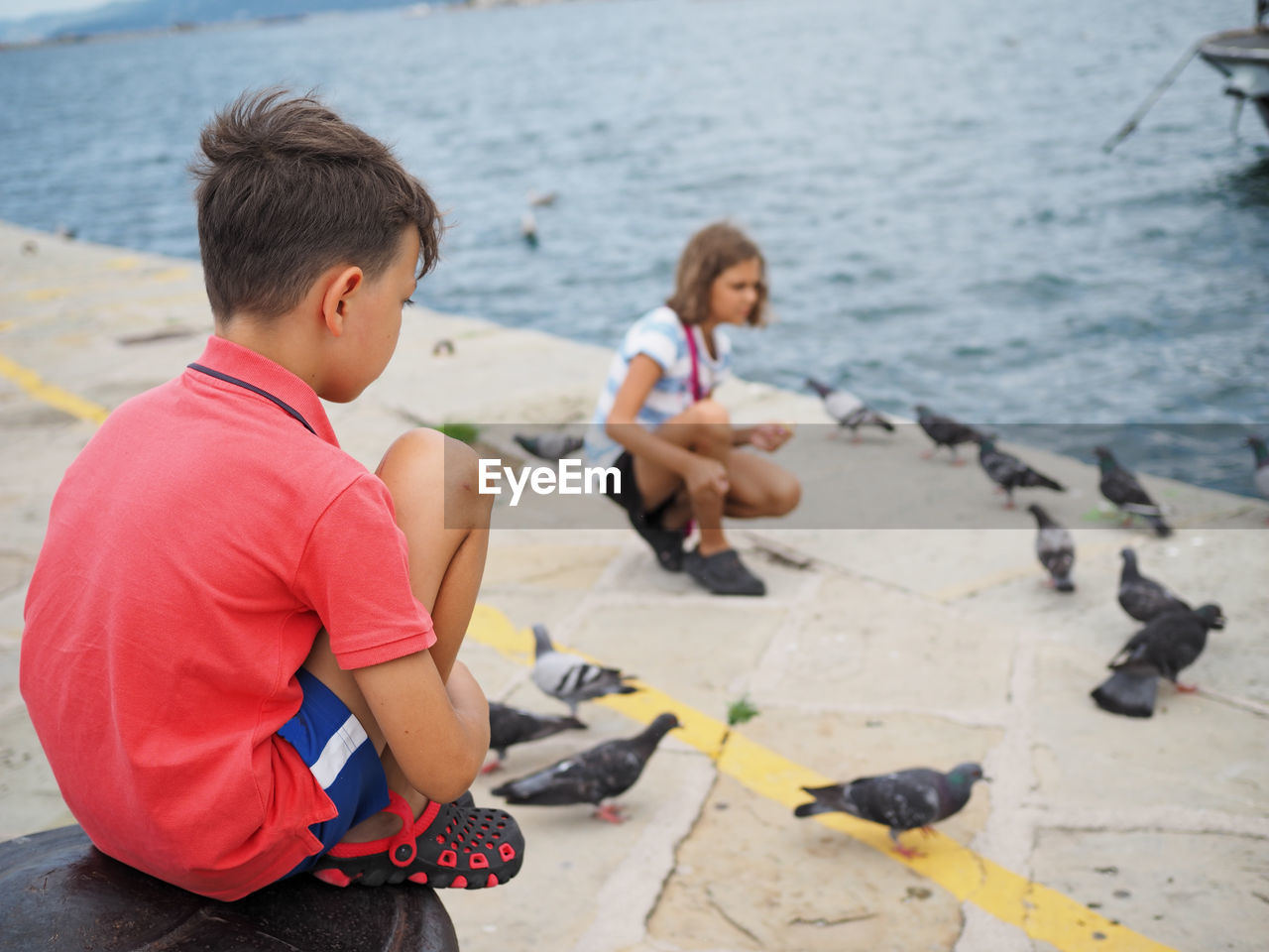 Boy looking at sister feeding pigeons on promenade