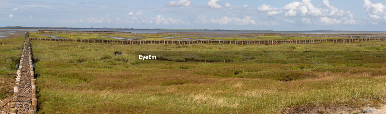 Panorama with fascine in the wadden sea national park