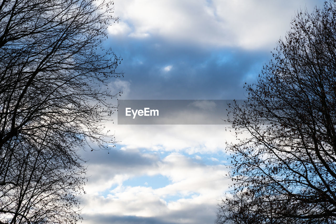 LOW ANGLE VIEW OF BARE TREE AGAINST CLOUDY SKY