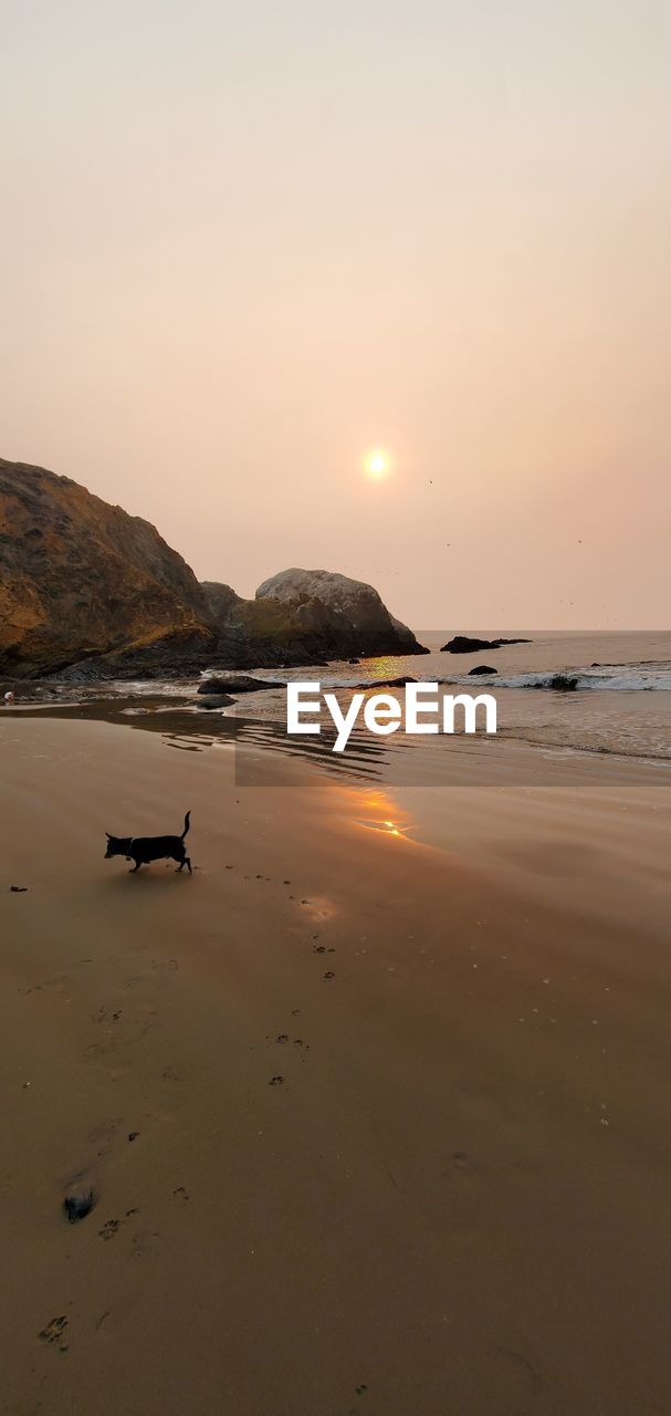 View of beach at sunset