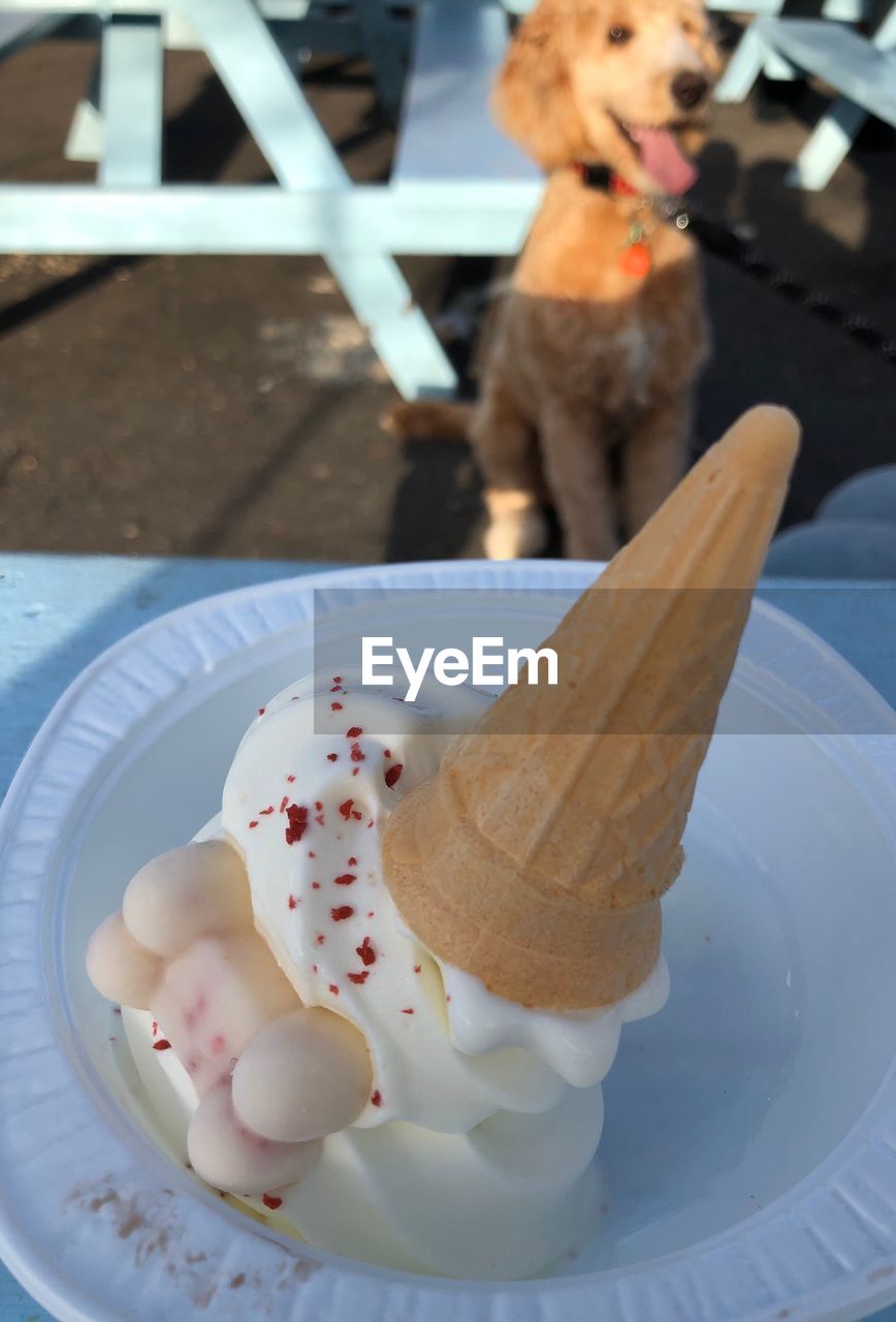 High angle view of ice cream cone in plate