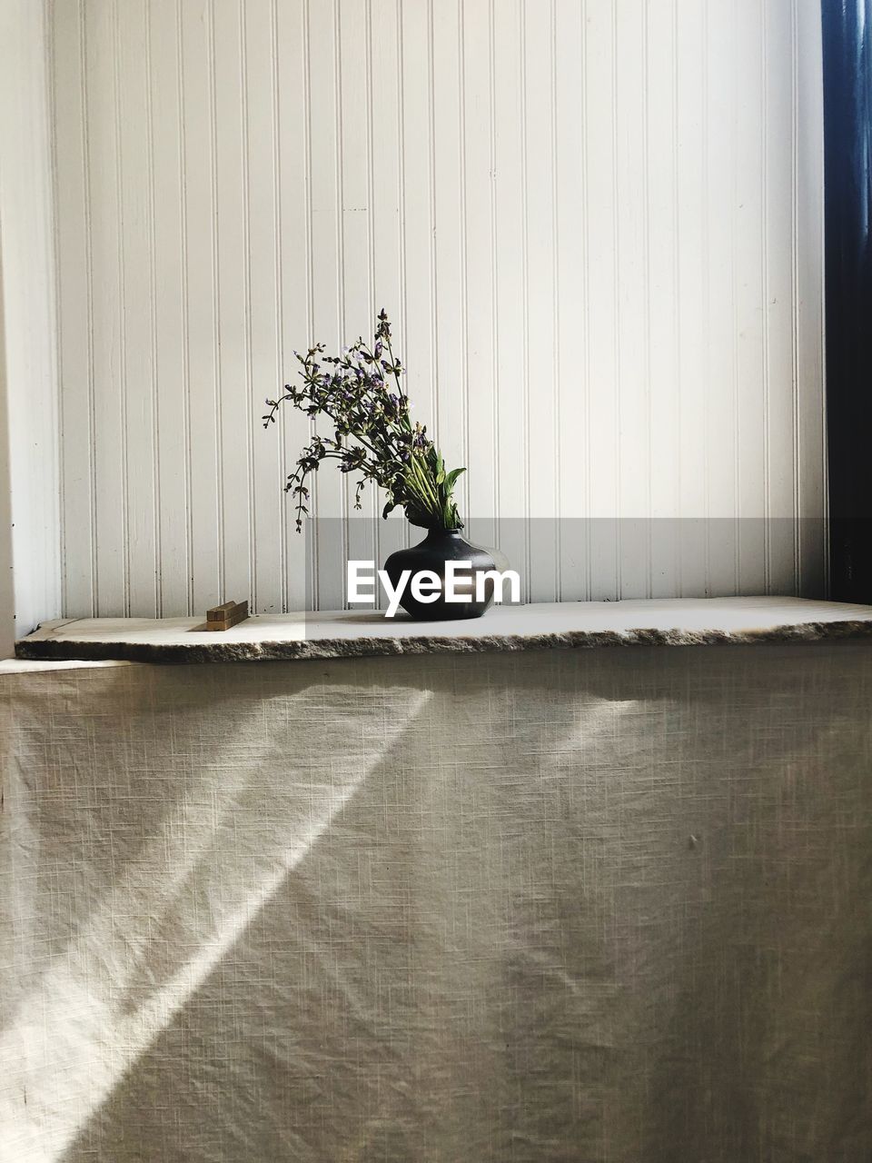 POTTED PLANT ON TABLE BY WINDOW