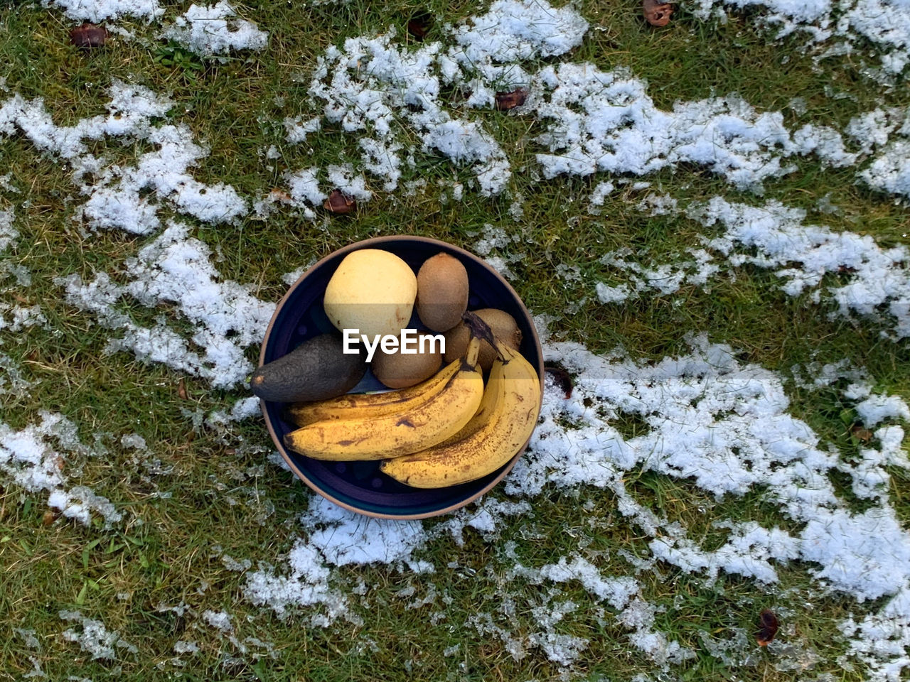High angle view of fruit on snow covered land
