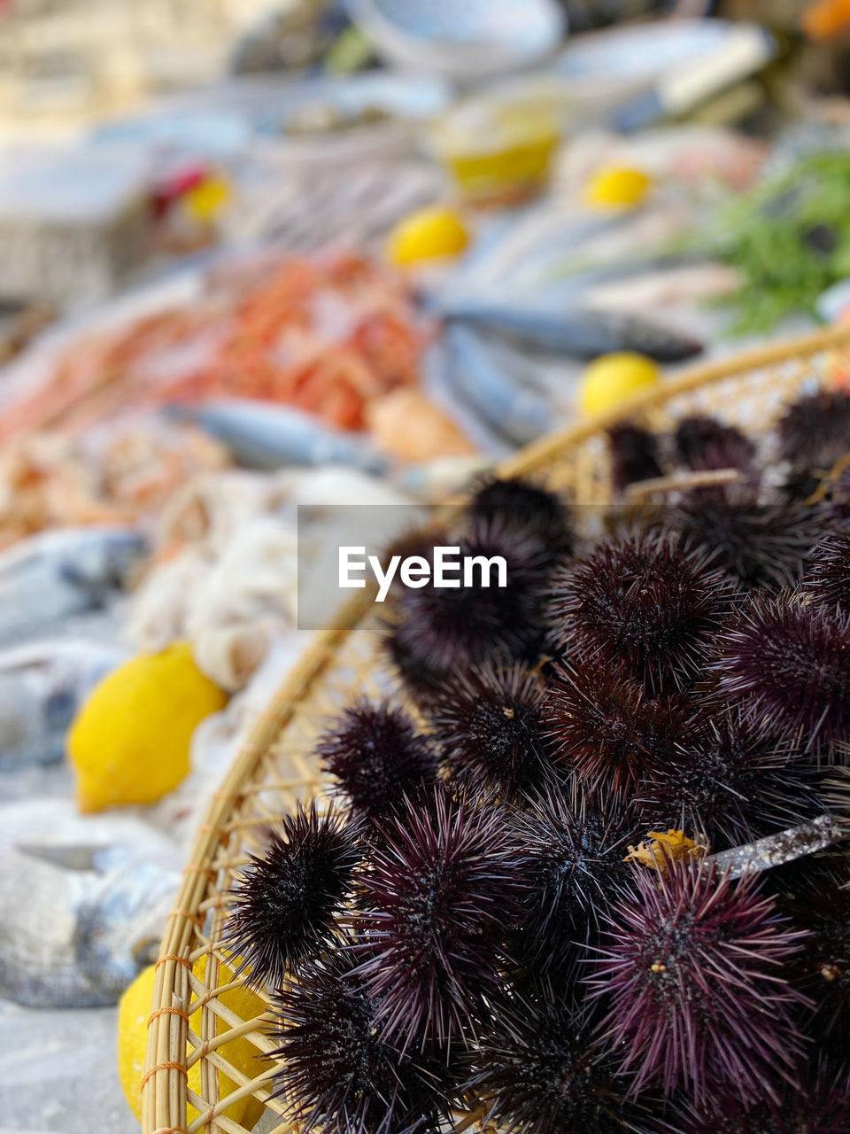 animal, food, food and drink, no people, market, echinoderm, animal themes, reef, animal wildlife, nature, healthy eating, outdoors, flower, freshness, fruit, day, focus on foreground, close-up, marine invertebrates, produce, retail