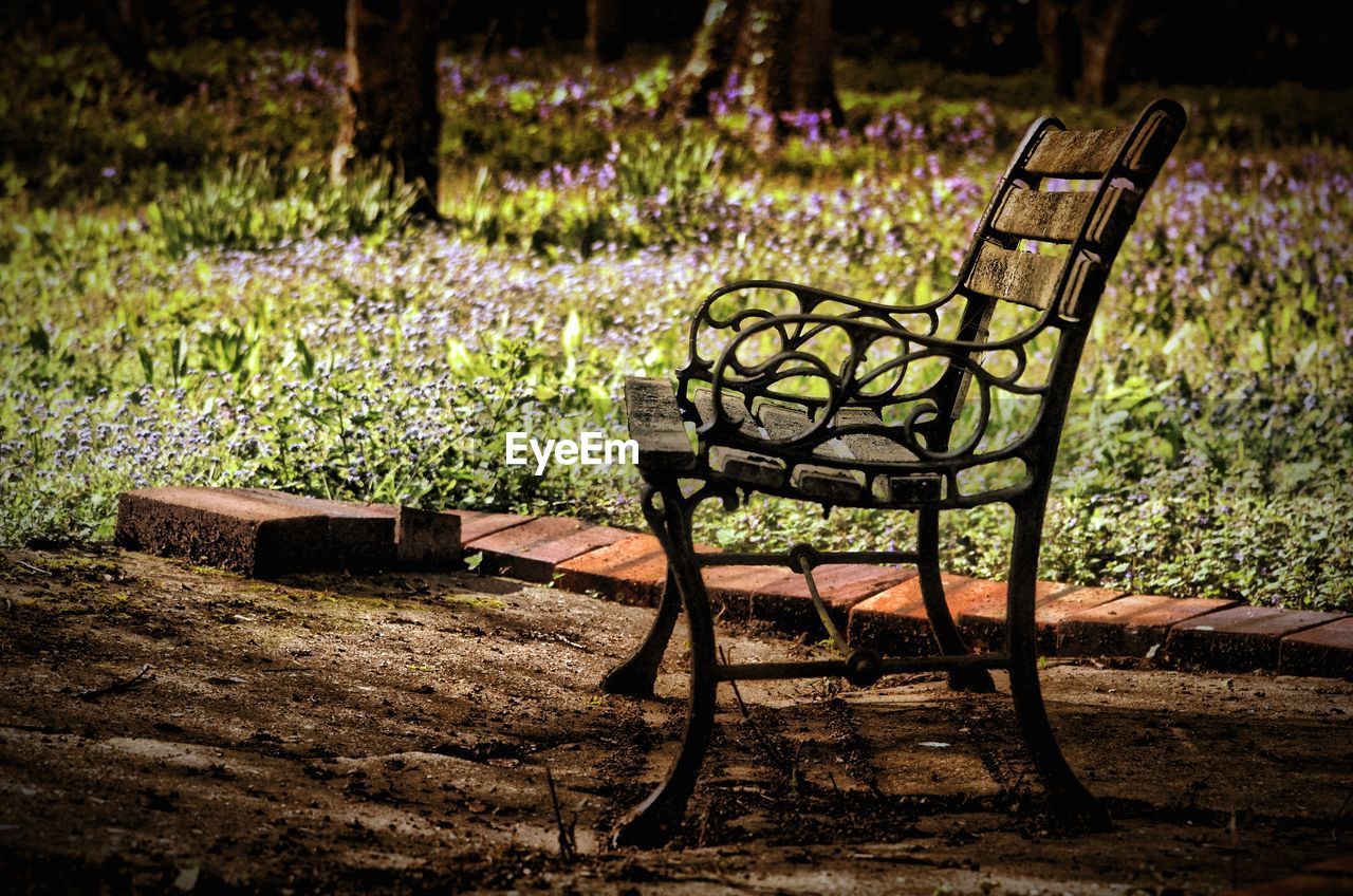 Empty bench in park